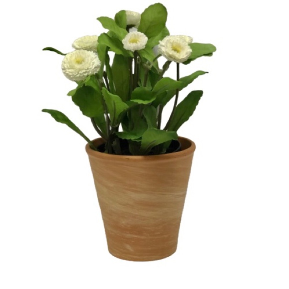 🌻2/$15🌻 Terra Cotta Flower or Succulent Pot